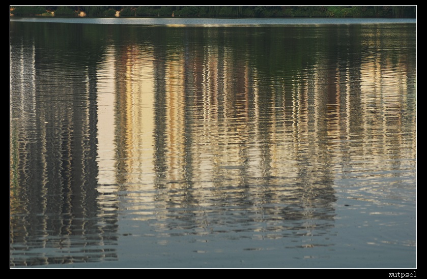 dsc_4805.jpg