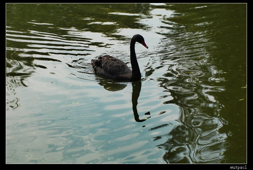 dsc_4781.jpg