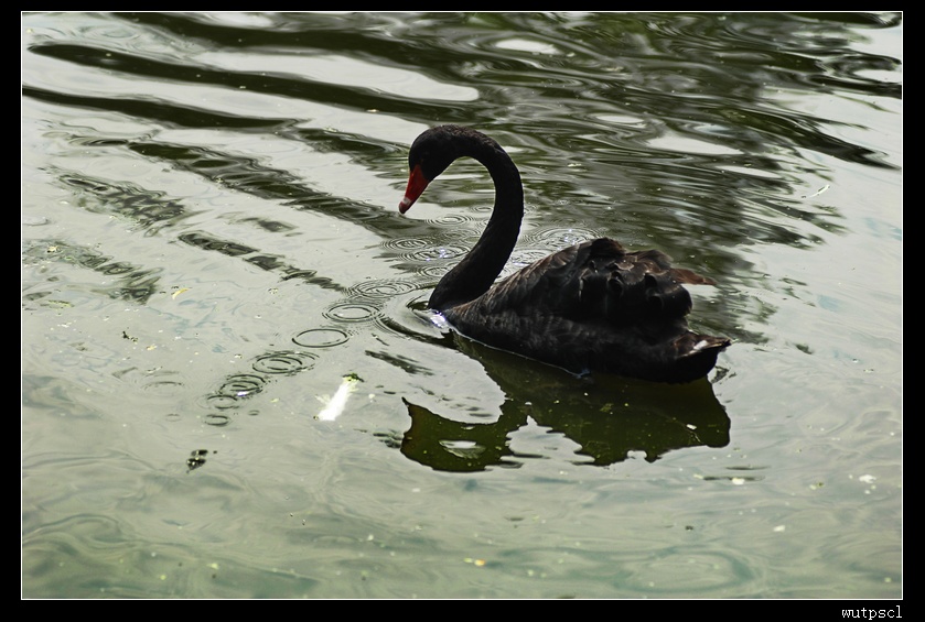 dsc_4783.jpg