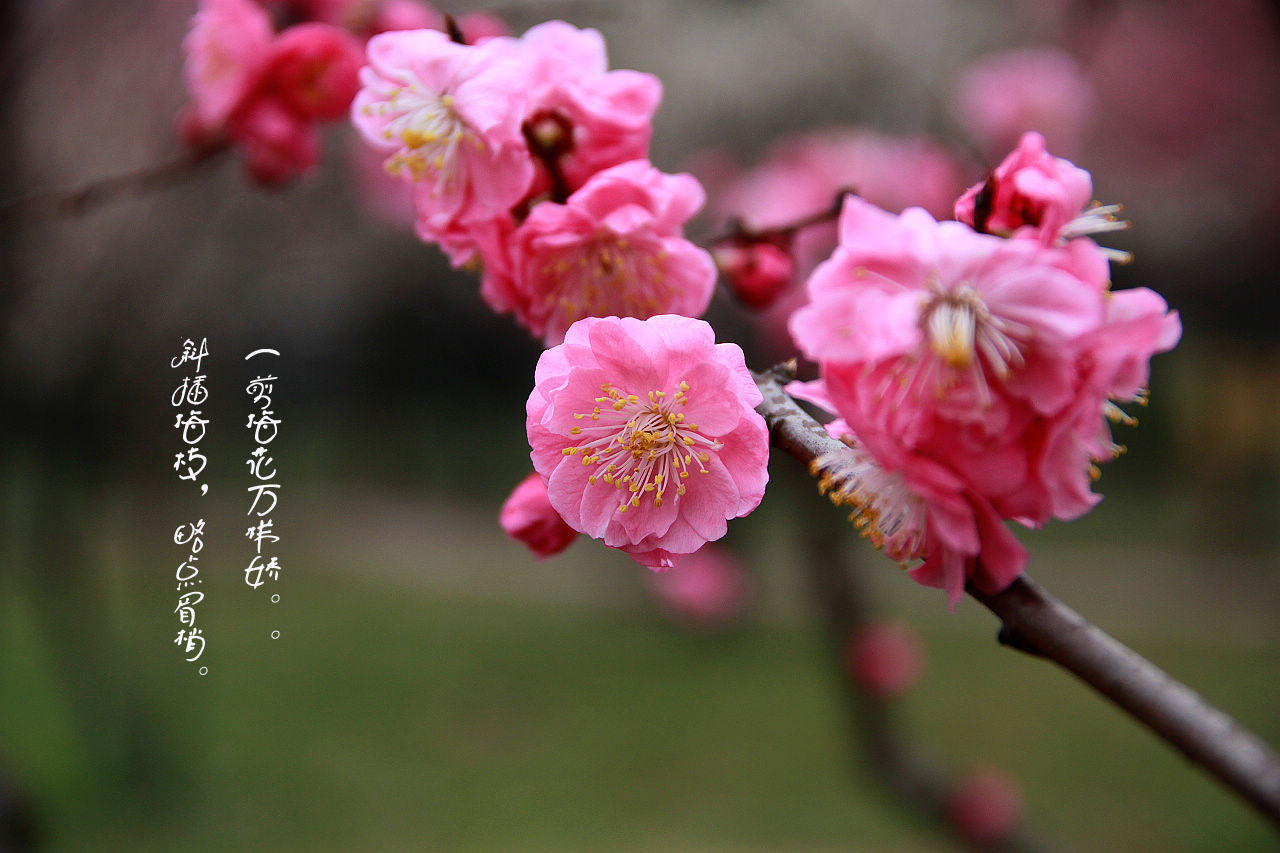 img_1745.jpg