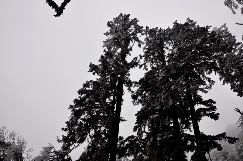 dsc_0072ݹ.jpg