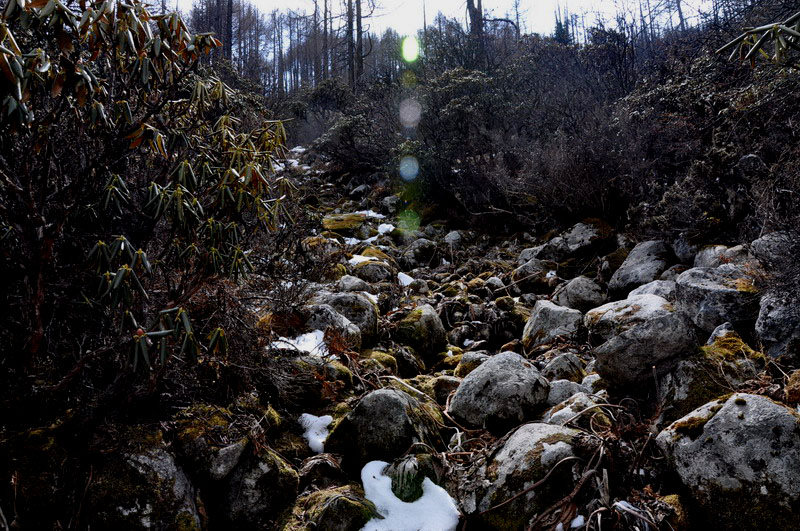 dsc_0294ɽ·.jpg