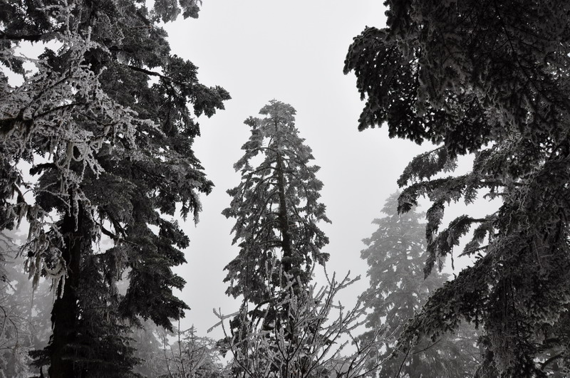 dsc_0097.jpg