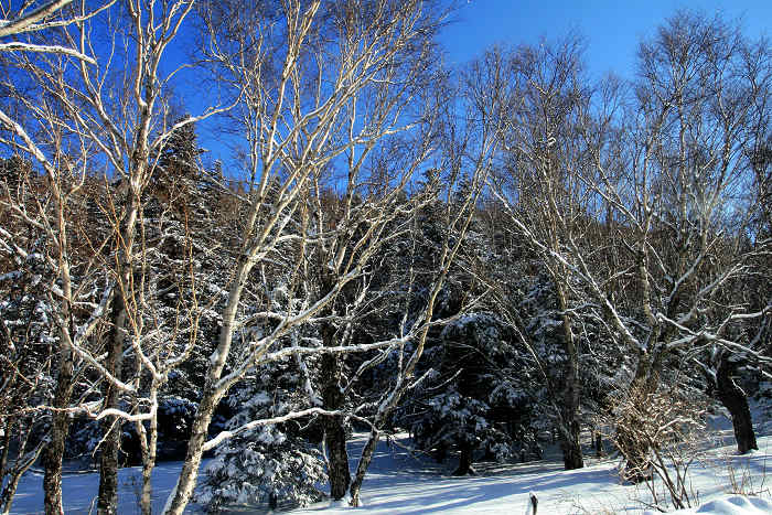20091111_2942.jpg