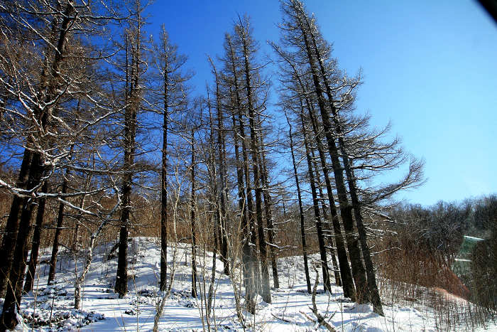 20091111_2944.jpg