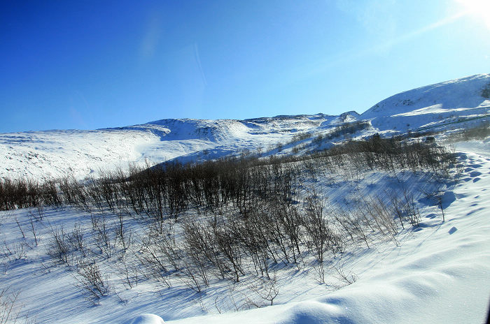 20091111_2948.jpg