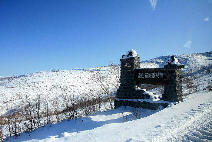 20091111_2949.jpg