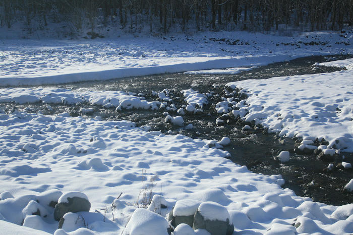 20091111_3024.jpg