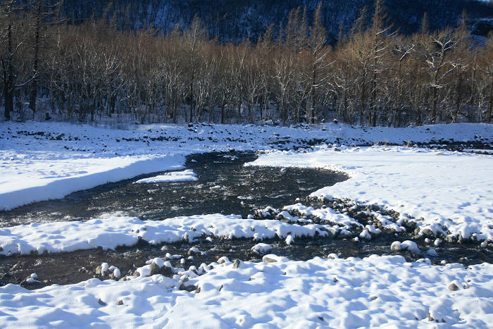 20091111_3027.jpg