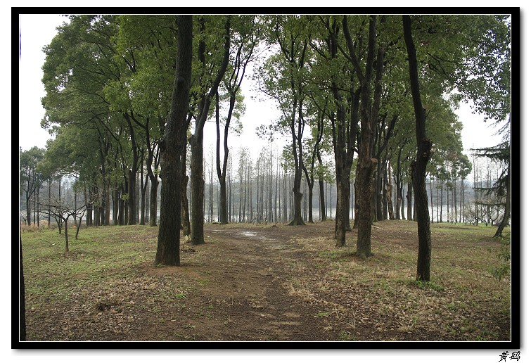 Ƭ 037.jpg