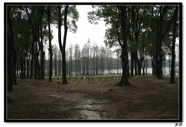 Ƭ 038.jpg