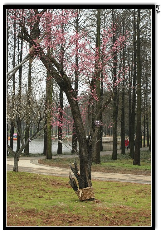 Ƭ 019.jpg