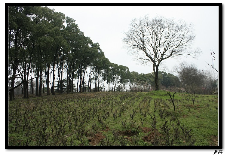 Ƭ 042.jpg