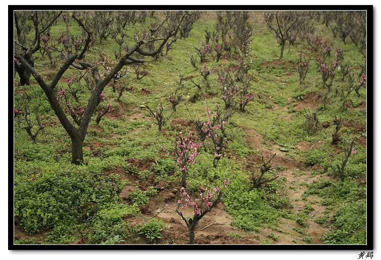 Ƭ 046.jpg