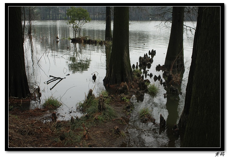 Ƭ 047.jpg