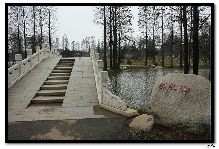 Ƭ 048.jpg