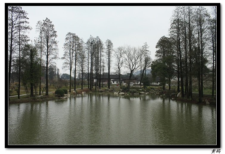 Ƭ 049.jpg