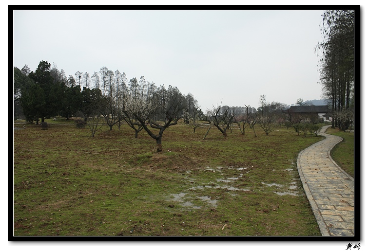 Ƭ 051.jpg