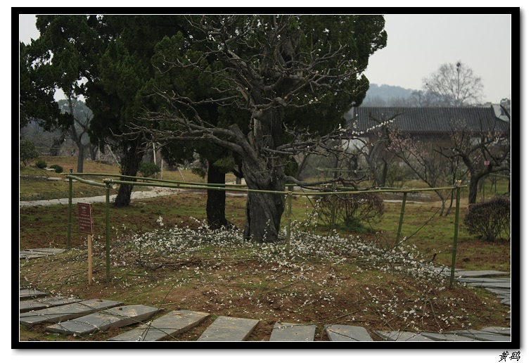 Ƭ 057.jpg