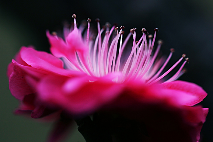 Ƭ 038.jpg