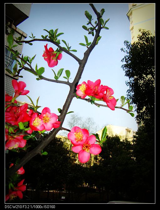 dsc03145-1.jpg