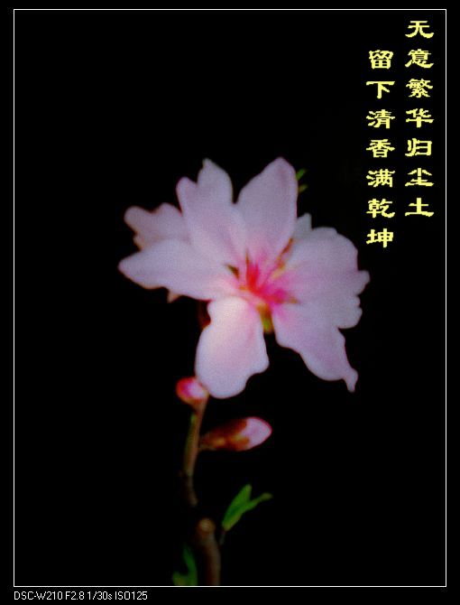 dsc03162-1.jpg
