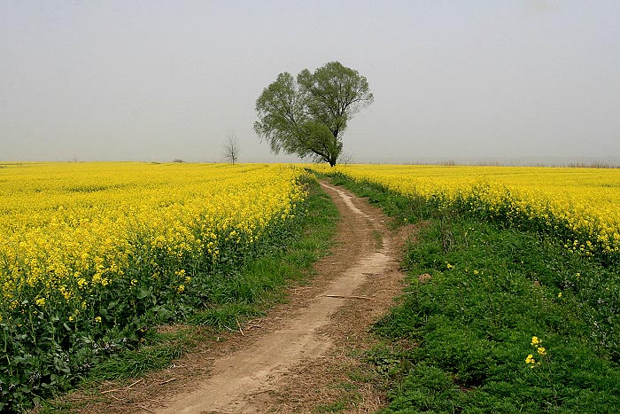 20100321_4777.jpg
