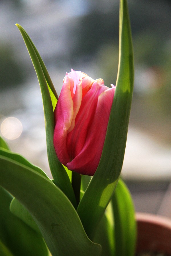 img_6056.jpg