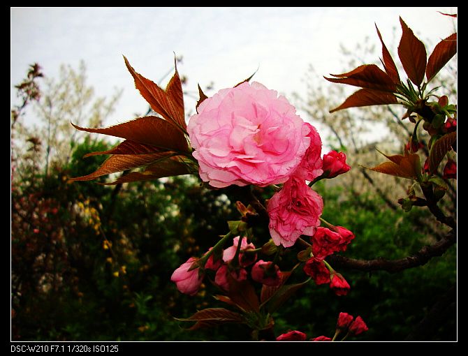 dsc03402-1.jpg