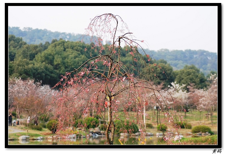 ӣ֮005.jpg
