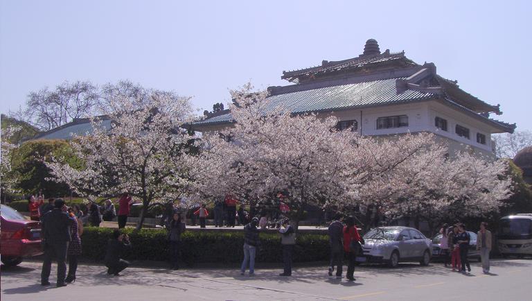 ӣ.jpg