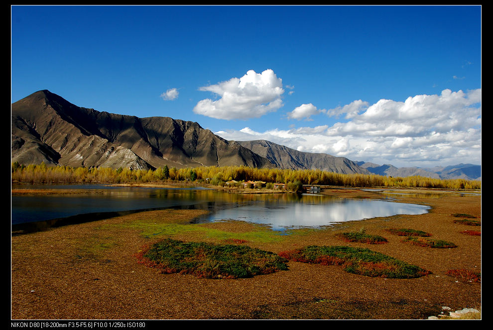 dsc_0227.jpg