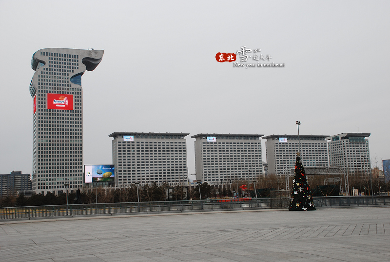 dsc_0052̹Ŵ.jpg