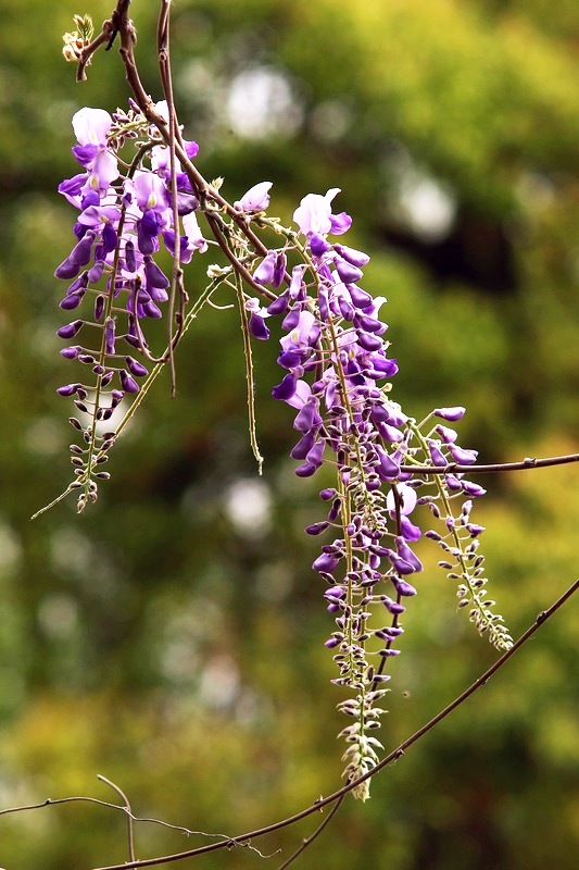 imgp0591.jpg