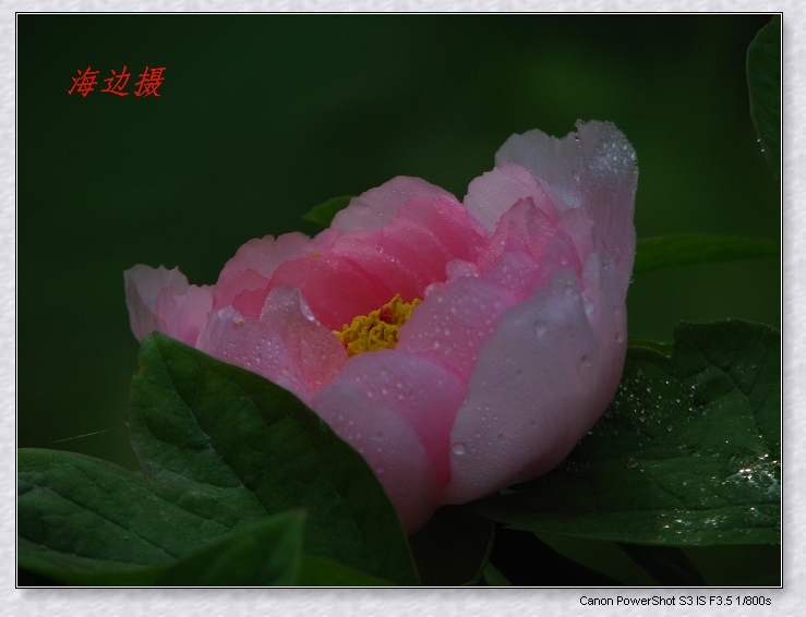 neo_img_img_9899.jpg