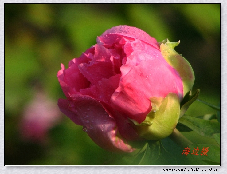 neo_img_img_9626.jpg