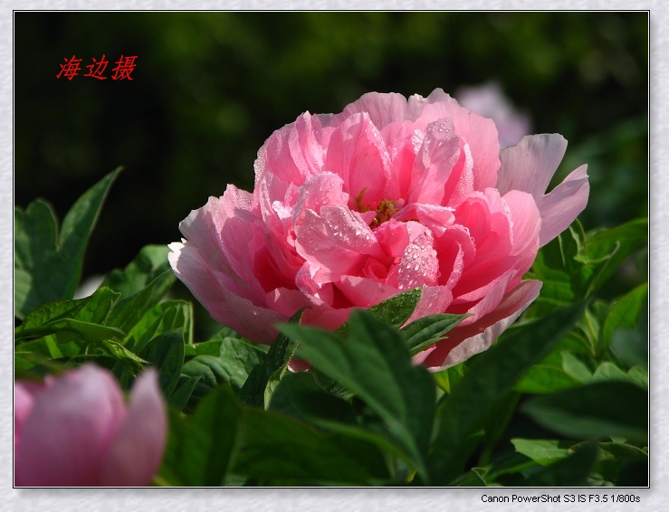 neo_img_img_9847.jpg