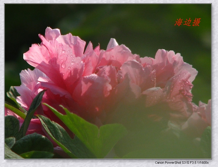 neo_img_img_9690.jpg