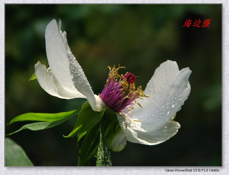 neo_img_img_9817.jpg