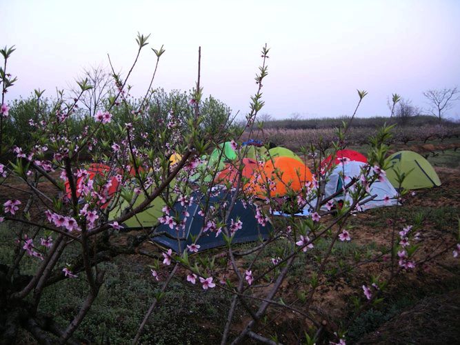 dscn3591.jpg