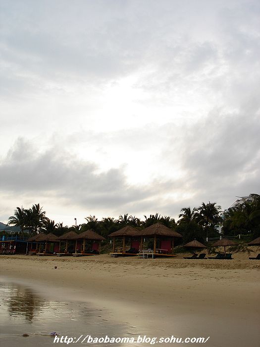 dsc08976.jpg