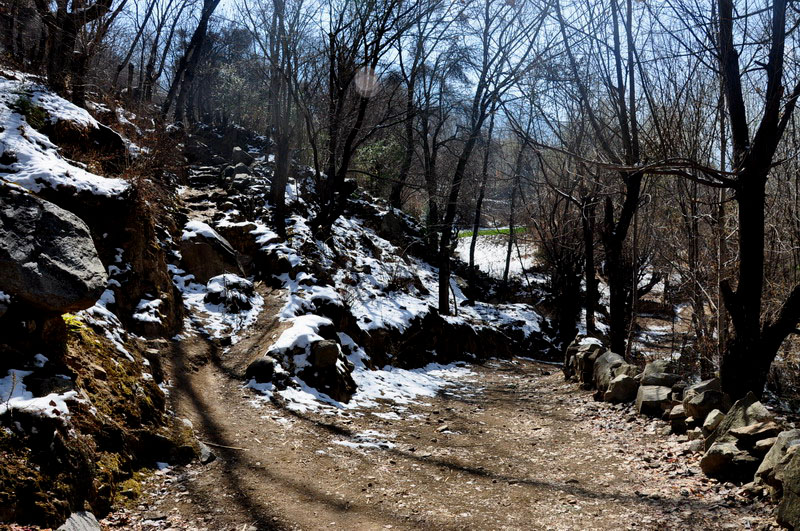 dsc_0780ͨµĲ·.jpg