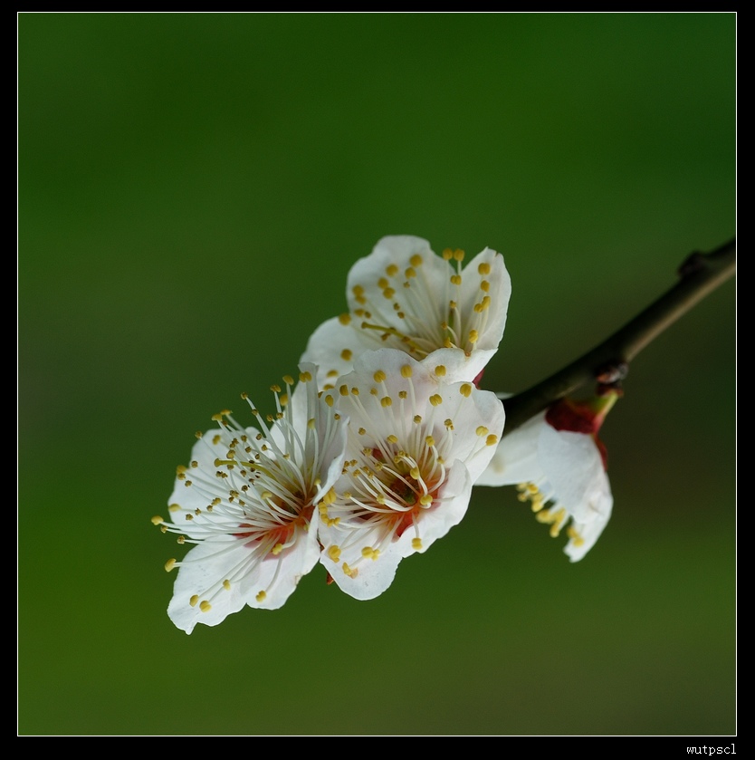 57dsc_6749089.jpg