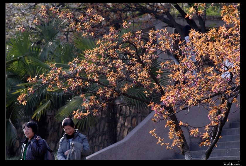 dsc_7434028.jpg