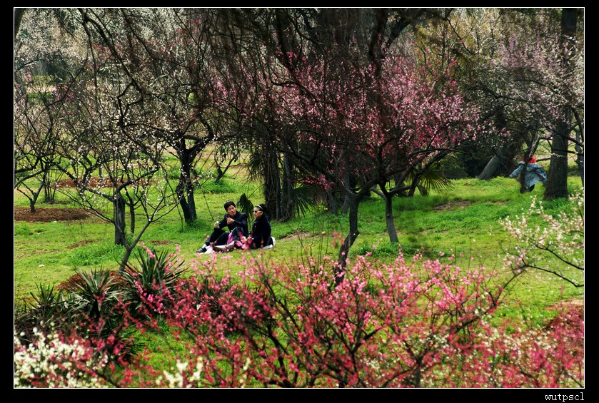 dsc_6900106.jpg