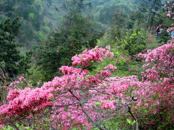 20104172349269288.jpg