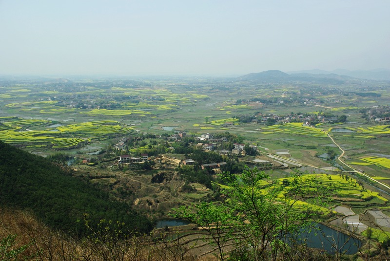 imgp0142.jpg