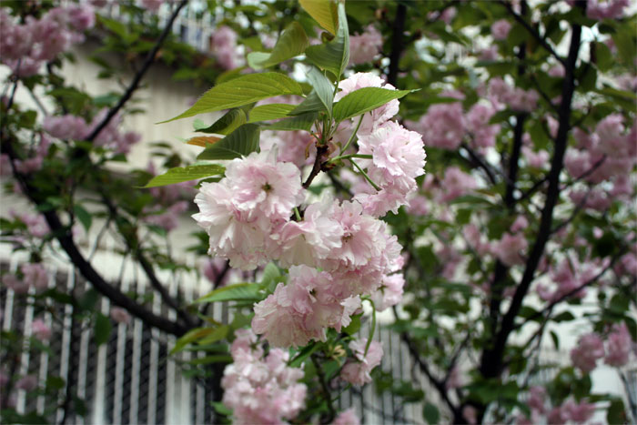 img_1676.jpg