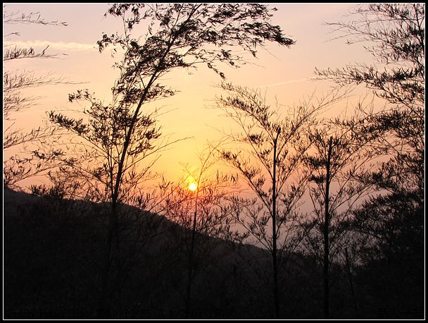 img_0050.jpg