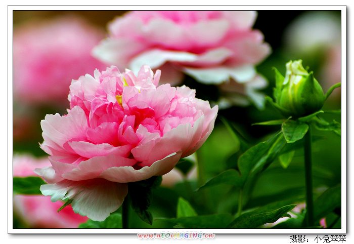 imgp3120.jpg
